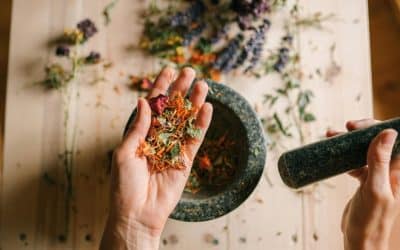 The High Season for Herbal Healers in Costa Rica: When Rain Means Business