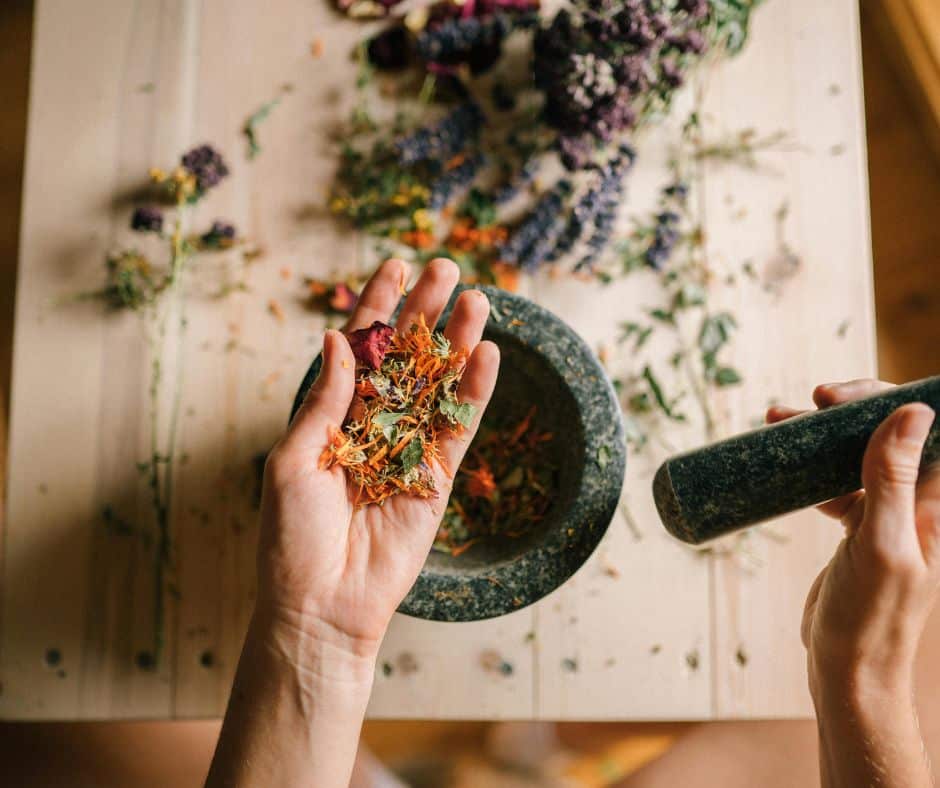 When flu season hits Costa Rica's rainy months, herbalists and bush doctors step in with traditional remedies. Discover the top herbs and how to use them.