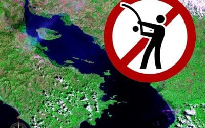 Gulf of Nicoya Fishing Ban: How Costa Rica Protects Its Marine Life