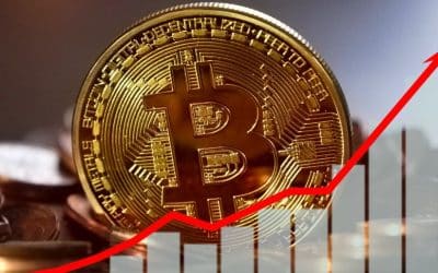 Crypto in the Jungle: Who’s Accepting Bitcoin in Costa Rica—And Is It Sustainable or Just Hype?