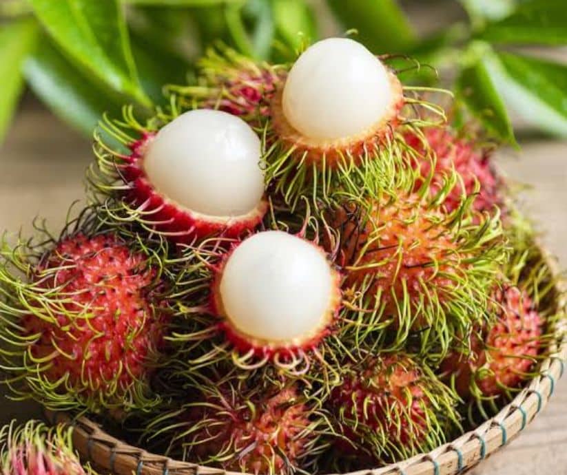 Discover the journey of mamón chino in Costa Rica—from tropical farms to roadside stalls. Learn when to buy, how to eat, and why it matters.