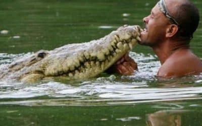 The Crocodile Whisperer of Tárcoles: The Man Who Swam with a Croc