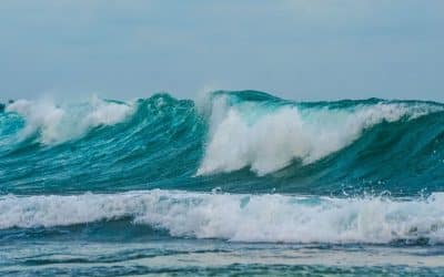 July Swells and Secret Breaks