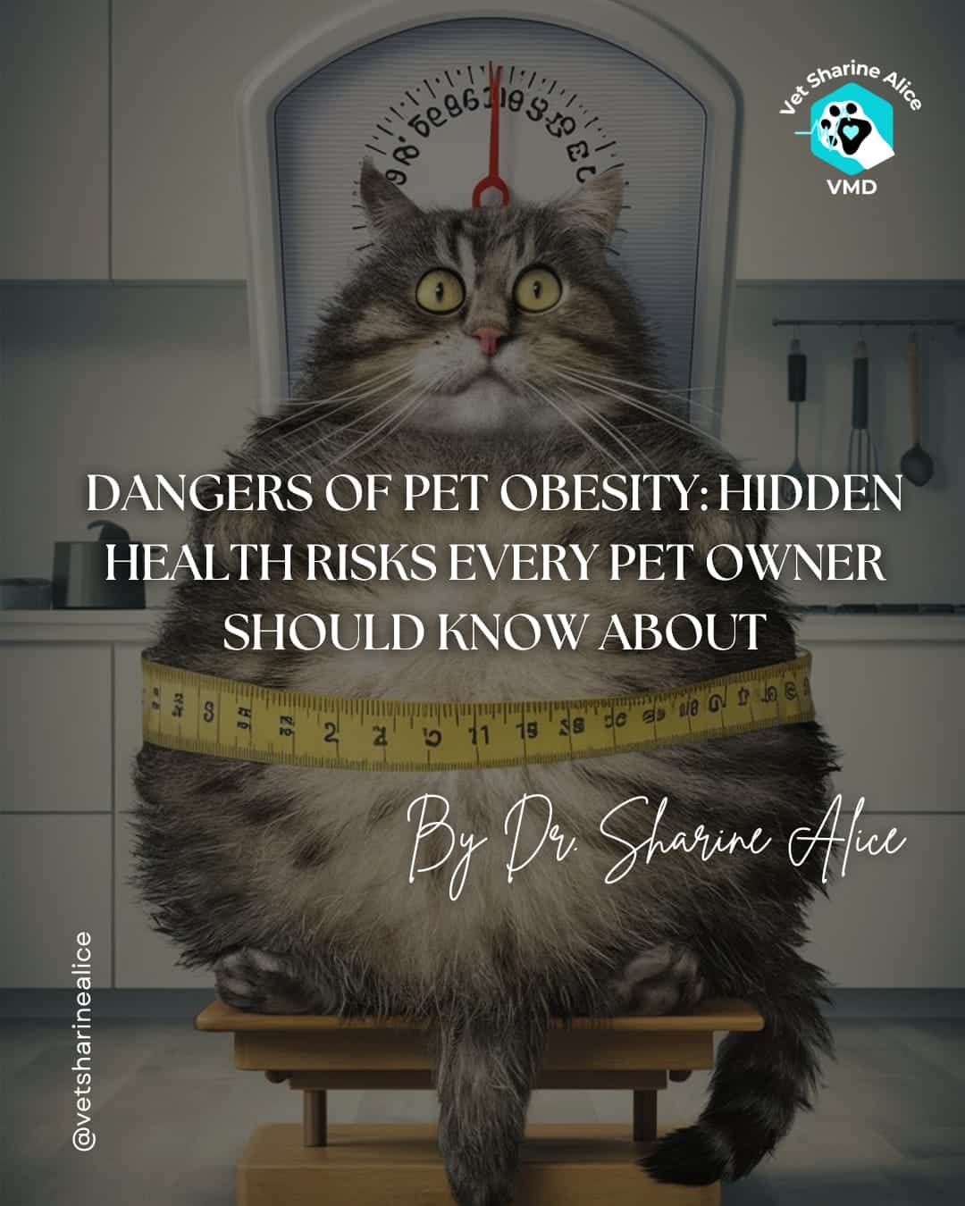FatCat