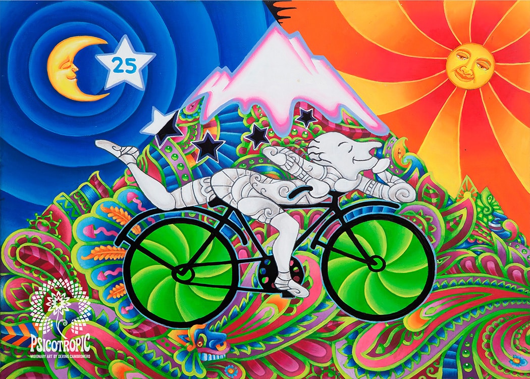 HOFMANN BIKE