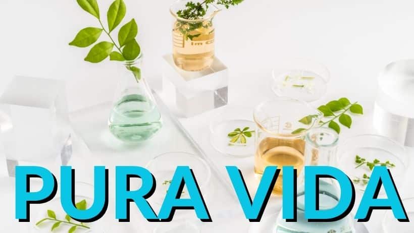 a pv
